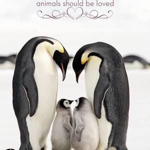 Meet your Posher, Keri ann